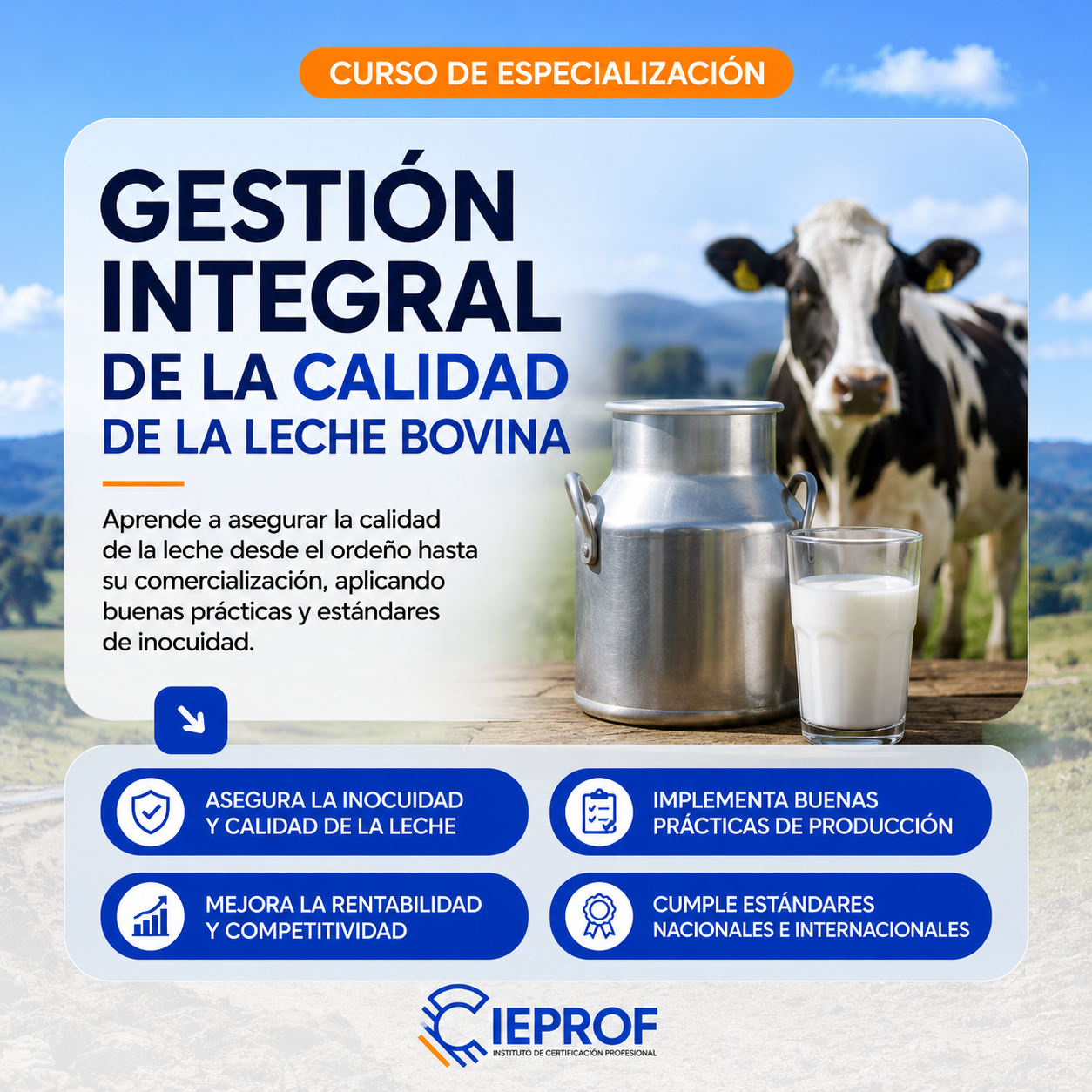 CALIDAD