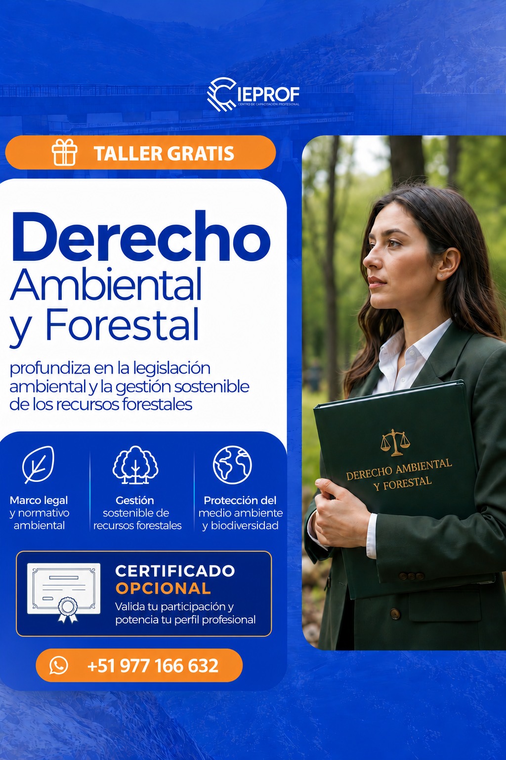 DERECHO